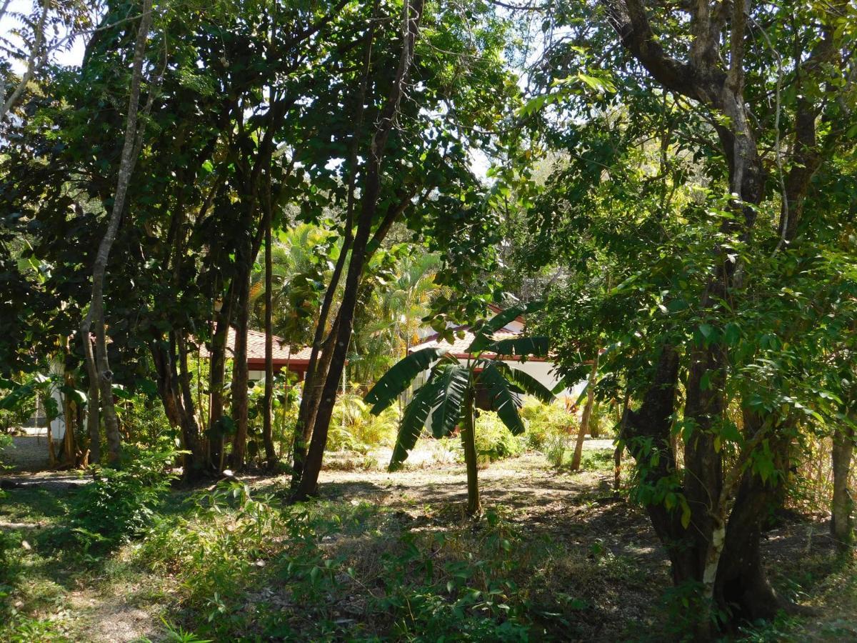 Villasjungle 1 Sámara Dış mekan fotoğraf