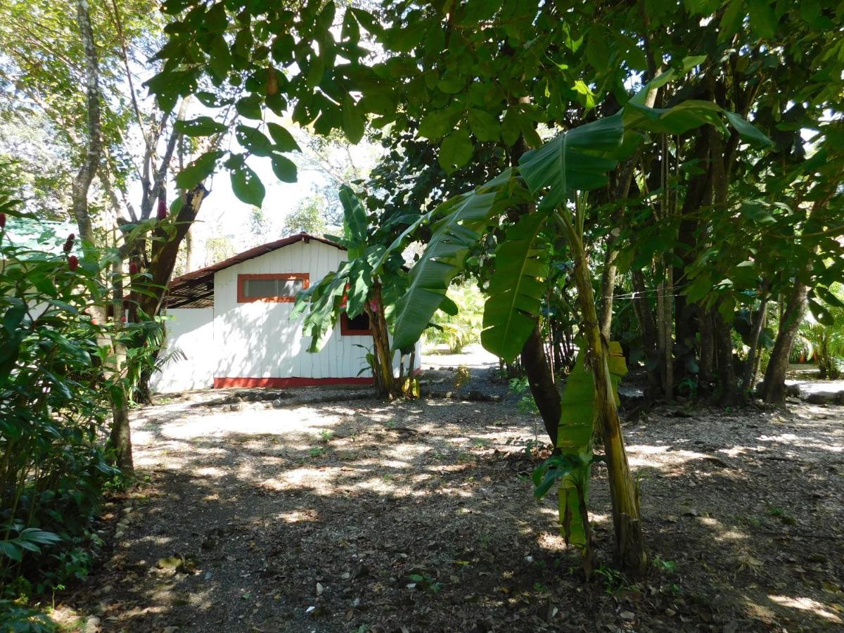 Villasjungle 1 Sámara Dış mekan fotoğraf